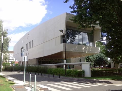 Élagueur Champigny-sur-Marne