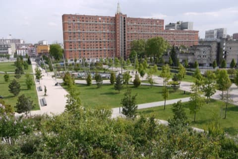 Élagueur Ivry-sur-Seine