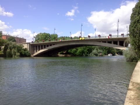 Élagueur Joinville-le-Pont