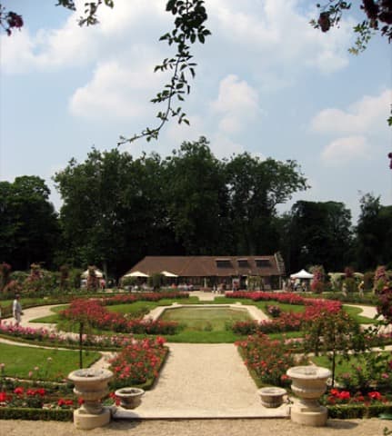 Élagueur L'Haÿ-les-Roses