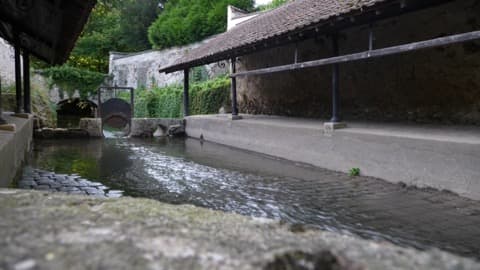 Élagueur La Queue-en-Brie