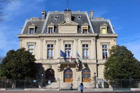 Élagueur Nogent-sur-Marne