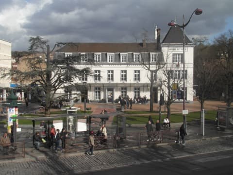 Élagueur Villeneuve-Saint-Georges