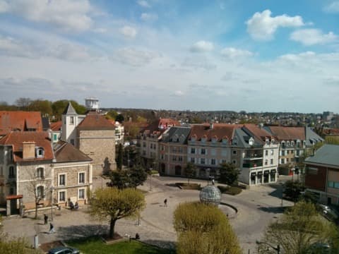 Élagueur Villiers-sur-Marne