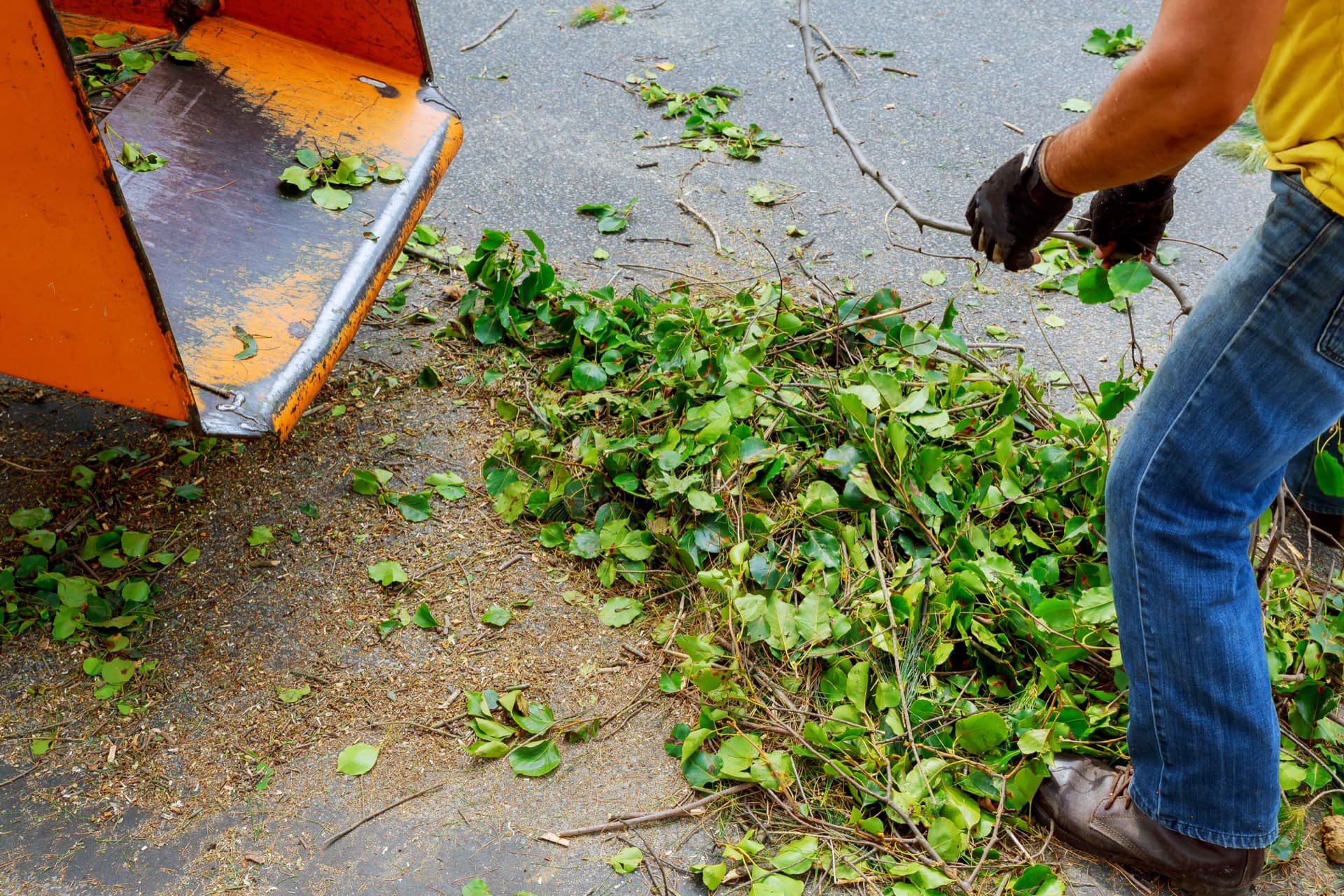 Broyage de branches & Gestion des déchets verts 94 Val-de-Marne