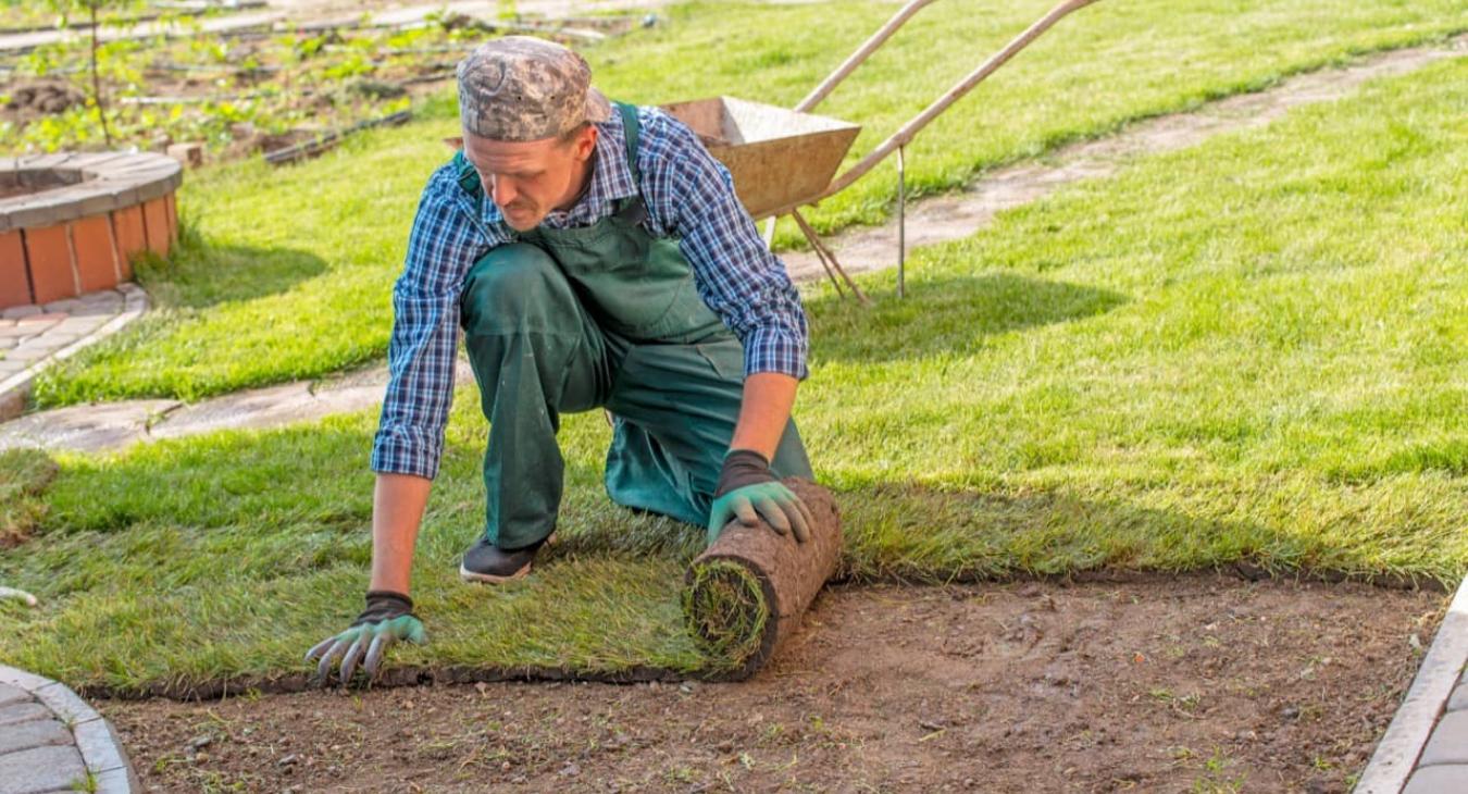 Pose de gazon en rouleaux 94 Val-de-Marne