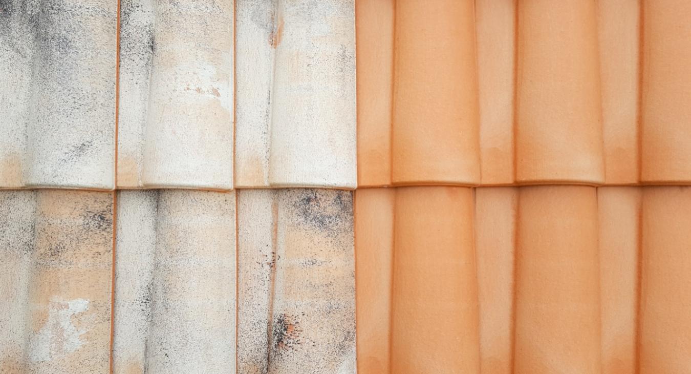 Nettoyage de toiture, Peinture & Hydrofugation de toit 94 Val-de-Marne